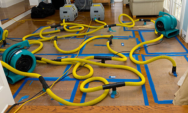 Professional Sewage Cleanup technician working in Newnan, GA